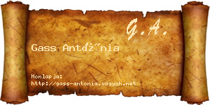 Gass Antónia névjegykártya